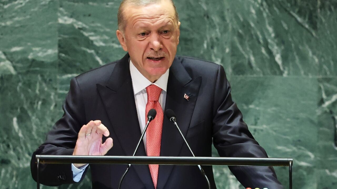 Turkey's President Recep Tayyip Erdogan casts himself as a leader among Sunni states but must tread carefully with Iran