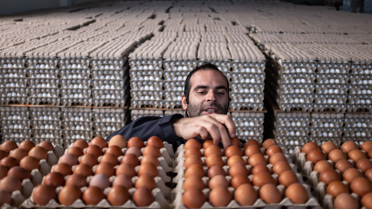 An employee checks eggs at Aytekin chicken farm on on May 06, 2022 in Bandirma, Turkey.