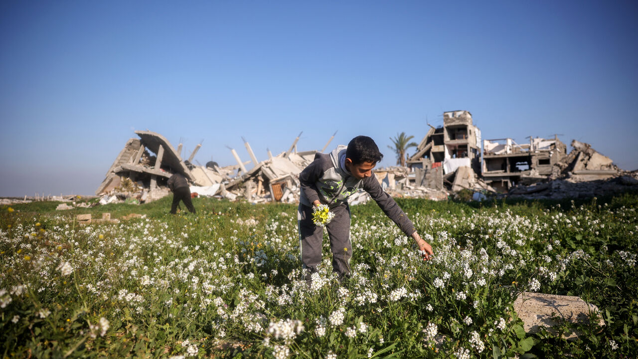 TOPSHOT - A Palestinian boy picks flowers close to the rubble of destroyed buildings in the Bureij camp for Palestinian refugees in the central Gaza Strip on March 11, 2025. (Photo by Eyad BABA / AFP) (Photo by EYAD BABA/AFP via Getty Images)