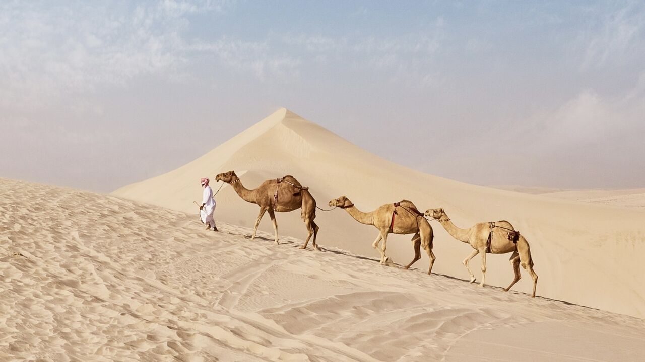 Sand dunes and camel safari experience at the Inland Sea, Qatar, Jan. 30, 2024.