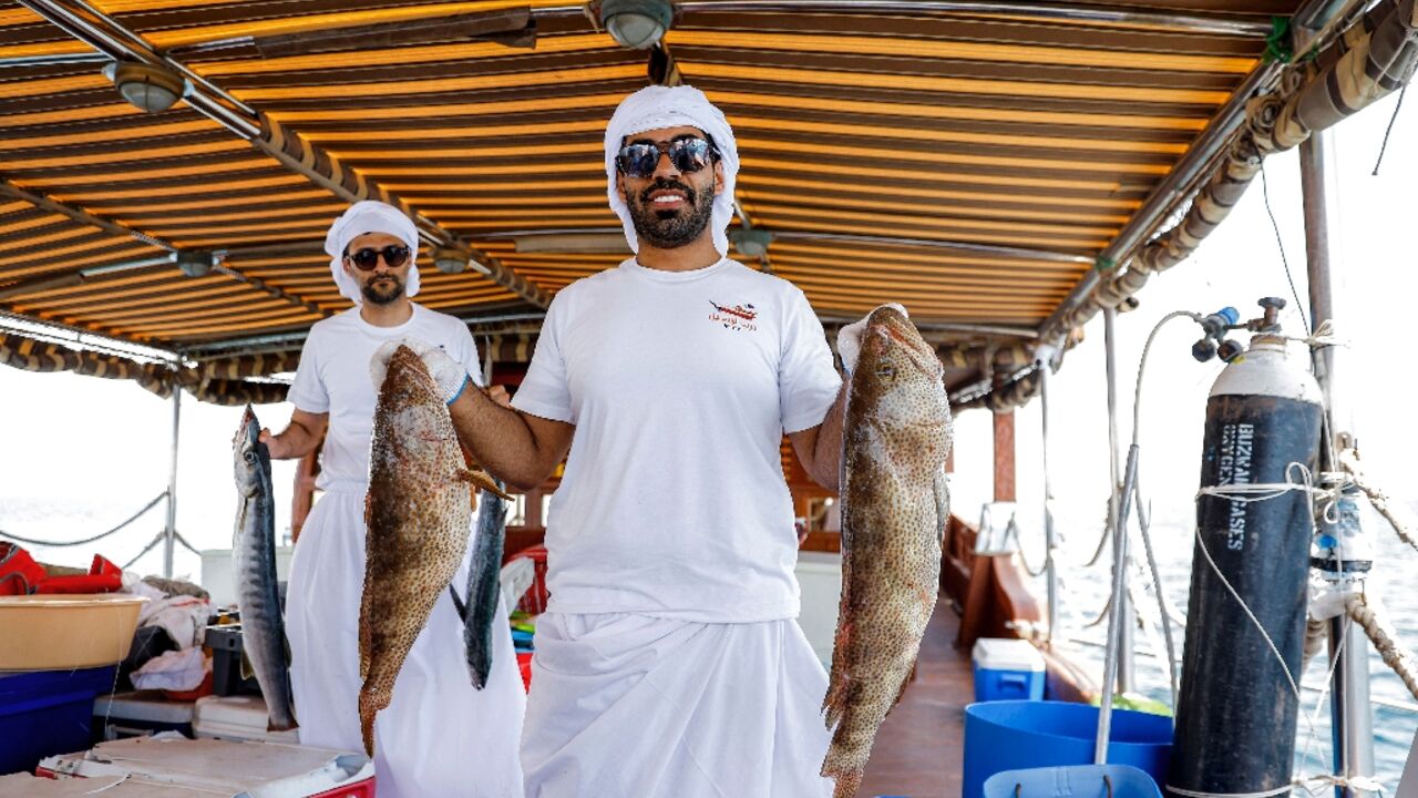 A Qatari contestant shows off his catch in a line-fishing competition that forms part of a festival aimed at reviving the emirate's sea-faring tradition. A Qatari contestant shows off his catch in a line-fishing competition that forms part of a festival aimed at reviving the emirate's sea-faring tradition.