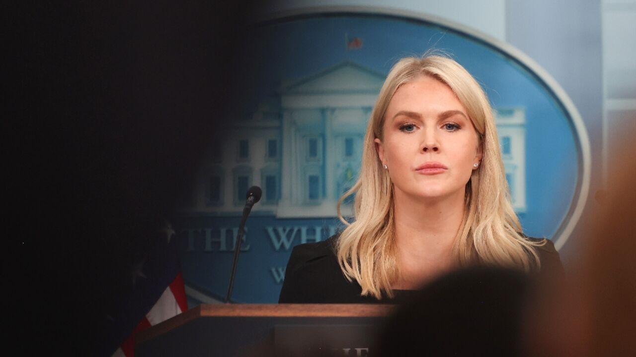 White House Press Secretary Karoline Leavitt says Americans should trust President Donald Trump's "incredible instincts"
White House Press Secretary Karoline Leavitt says Americans should trust President Donald Trump's "incredible instincts"