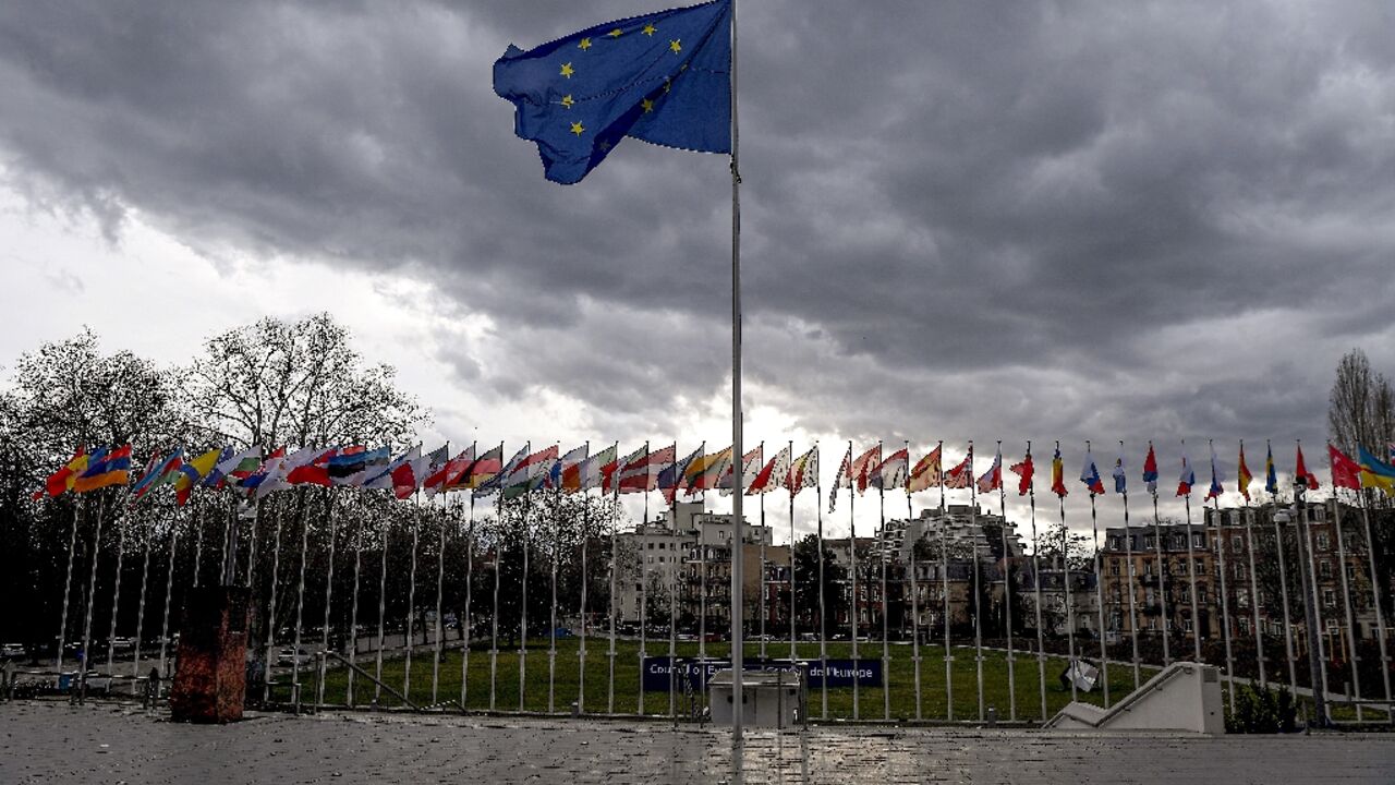 The Council of Europe has 46 members