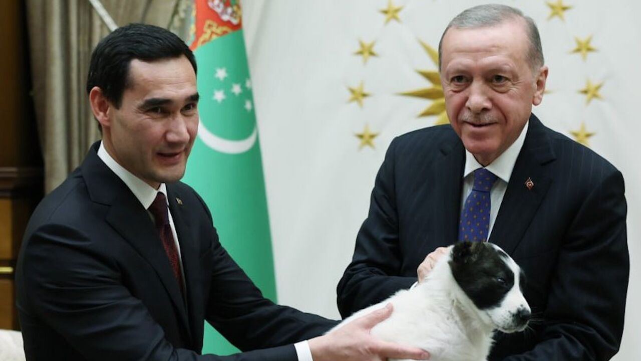 Turkmen Alabai