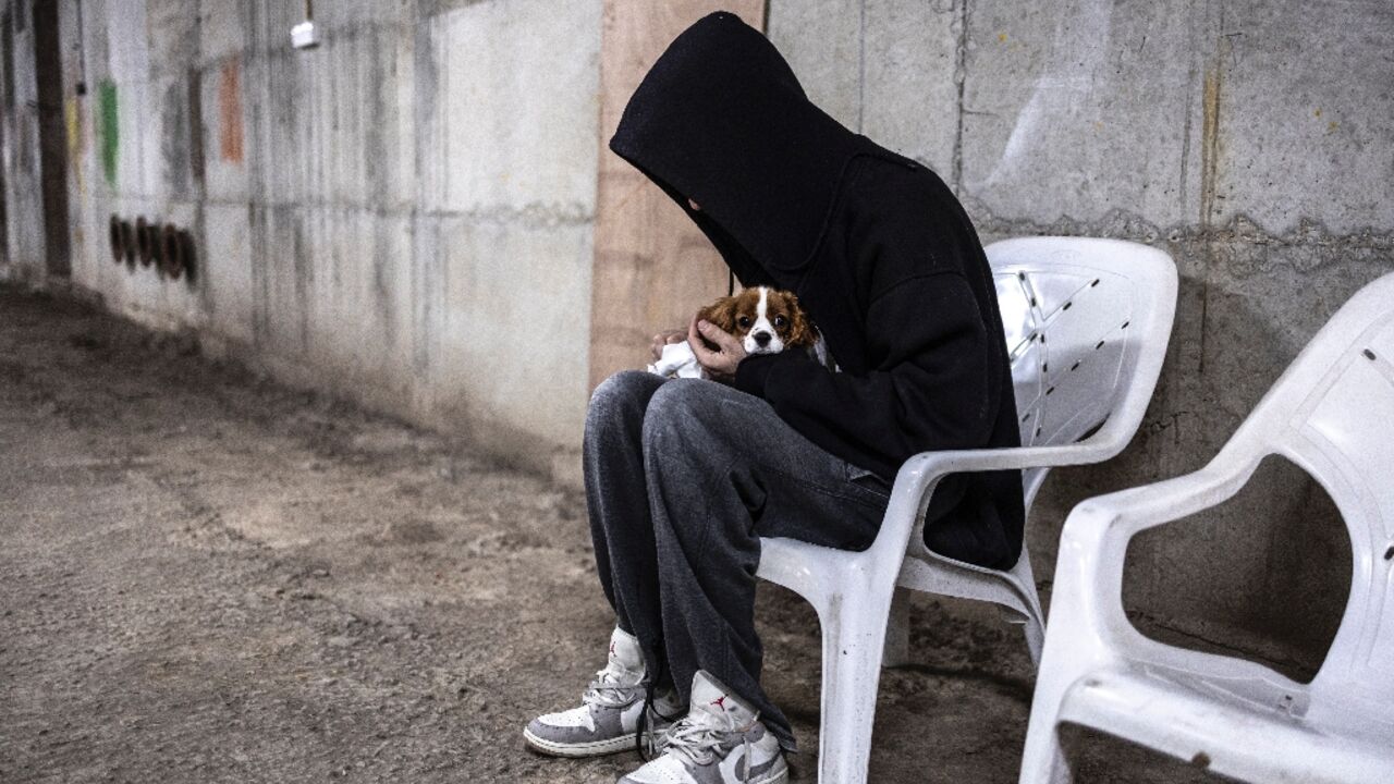 Authorities in Tel Aviv have issued guidelines to local residenct on how to look after pets during air raid alerts