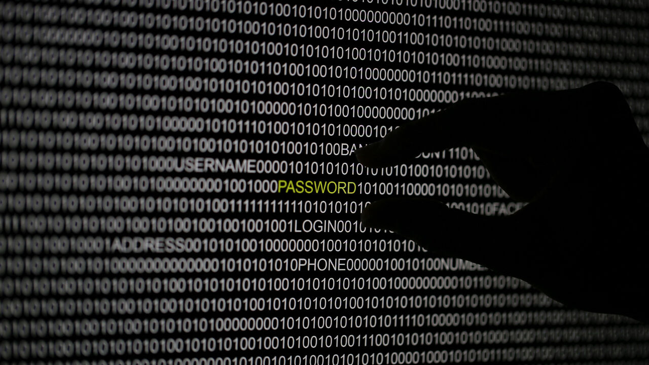 A hand is silhouetted in front of a computer screen in this picture illustration taken in Berlin May 21, 2013. REUTERS/Pawel Kopczynski