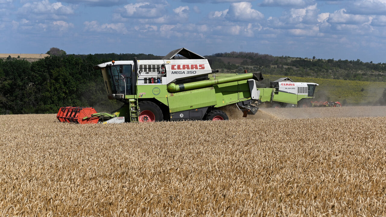 Сombines harvest wheat in a field in the Chertkovsky district of the Rostov region, Russia, July 25, 2025. REUTERS/Sergey Pivovarov