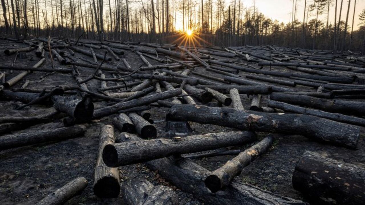 FILE PHOTO: Aftermath of a wildfire in Serbia