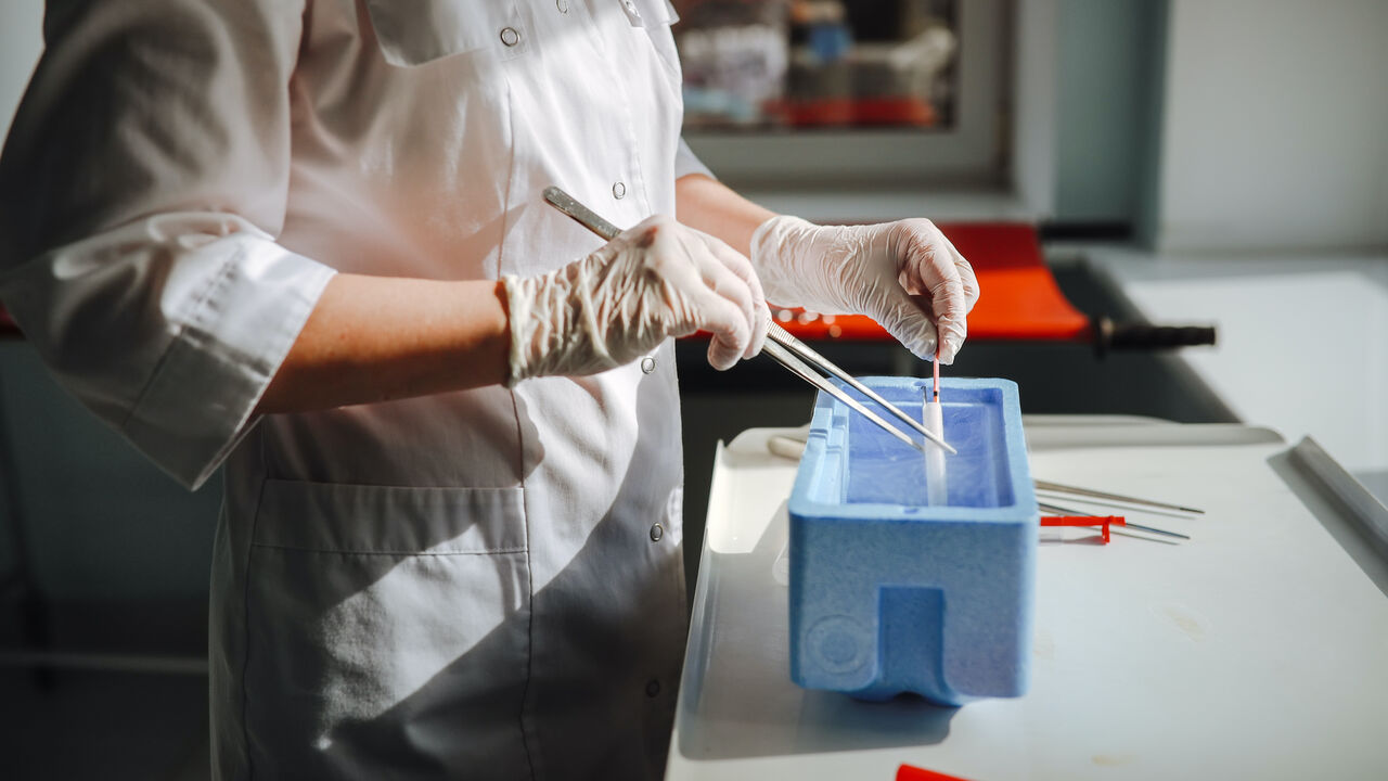 In this stock image, a female embryologist demonstrates freezing straws with embryos and sperm in real IVF laboratory. 