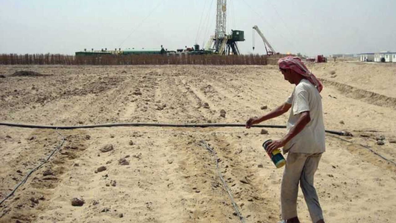 To match Feature IRAQ-OIL/FARMS A farmer sows seeds of cucumber at his farm near an oilfield in Iraq's southern province of Basra August 12, 2010. The fertile acreage atop some of the world's largest oilfields has been farmed for dates, melons and vegetables for centuries but the tribes that work the land fear they are being pushed aside in the rush to develop Iraq's vast reserves. Picture taken August 12, 2010. To match Feature IRAQ-OIL/FARMS REUTERS/Stringer (IRAQ - Tags: ENERGY AGRICULTURE BUSINESS) - RTR2HDNU