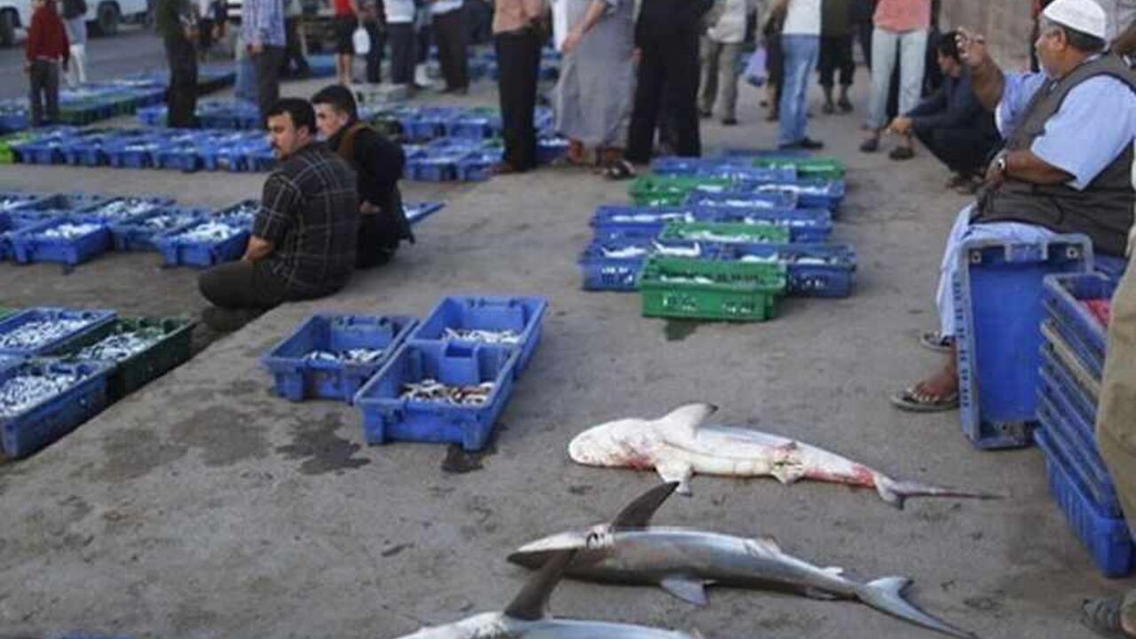 ISRAEL-PALESTINIANS/ Palestinians sell fish at a fish market in Gaza City May 22, 2013. Israel on Tuesday expanded the distance it permits Gaza fishermen to head out to sea, restoring a limit it cut in half two months ago in response to rocket fire from the Palestinian enclave. REUTERS/Suhaib Salem (GAZA - Tags: POLITICS CIVIL UNREST) - RTXZVXX