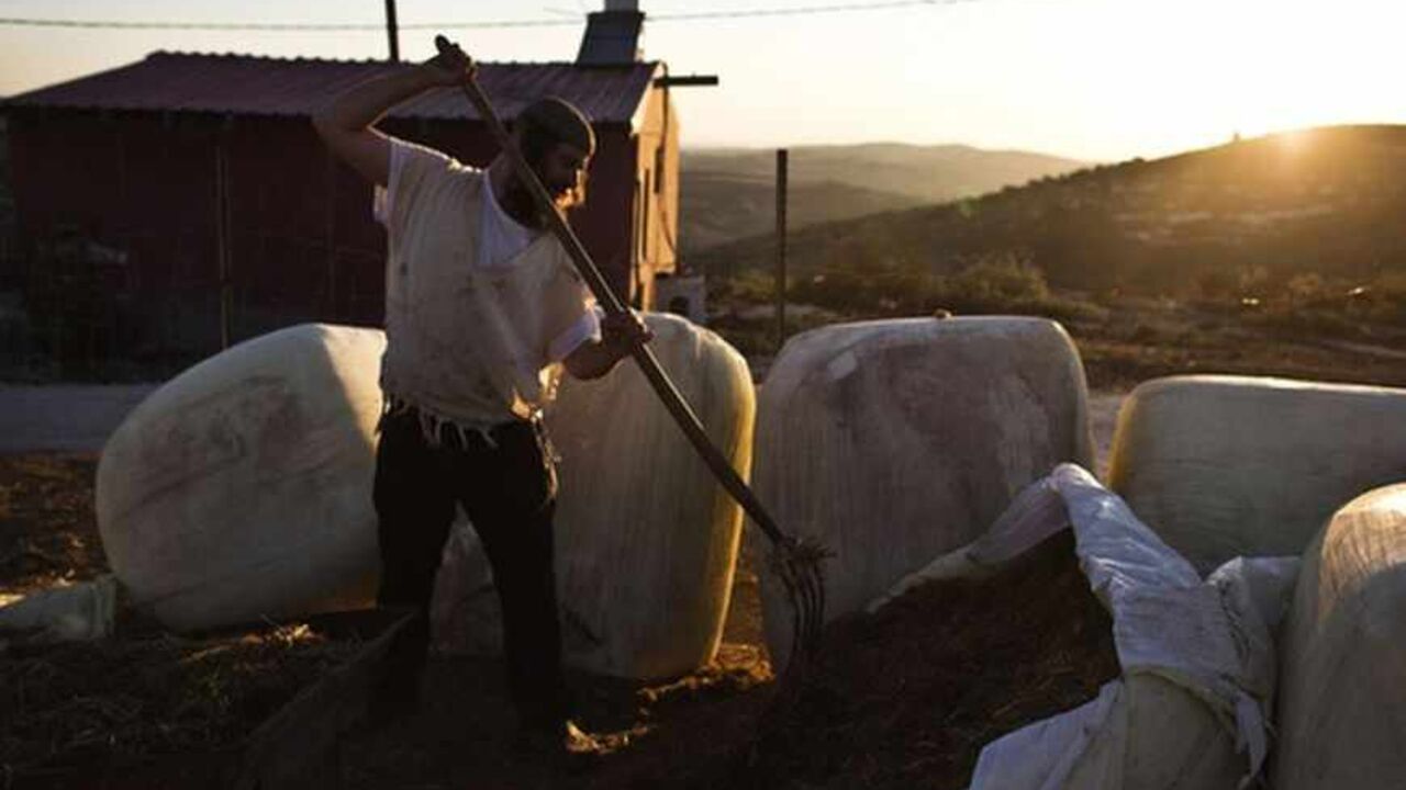 Netanel, an Israeli Jewish settler, works the land outside his home in the unauthorised Jewish settler outpost of Havat Gilad, south of Nablus Netanel, an Israeli Jewish settler, works the land outside his home in the unauthorised Jewish settler outpost of Havat Gilad, south of the West Bank city of Nablus July 29, 2013. Israeli and Palestinian officials put forward clashing formats for peace talks due to resume in Washington on Monday for the first time in nearly three years after intense U.S. mediation. It is unclear how the United States hopes to bridge the core issues in the dispute, including borders, the future of Jewish settlements on the W