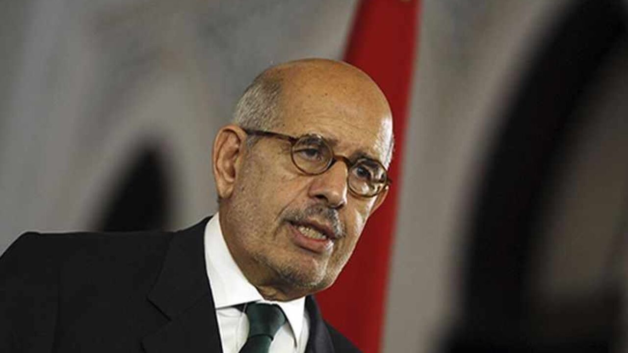 EGYPT-PROTESTS/ Egypt's interim Vice President Mohamed ElBaradei speaks during a news conference with European Union foreign policy chief Catherine Ashton (unseen) at El-Thadiya presidential palace in Cairo July 30, 2013. Egypt's rulers allowed Ashton to meet deposed President Mohamed Mursi, the first time an outsider was given access to him since the army overthrew him and jailed him a month ago, but ruled out involving him in any negotiations. She revealed little about what she called a "friendly, open and very frank" tw