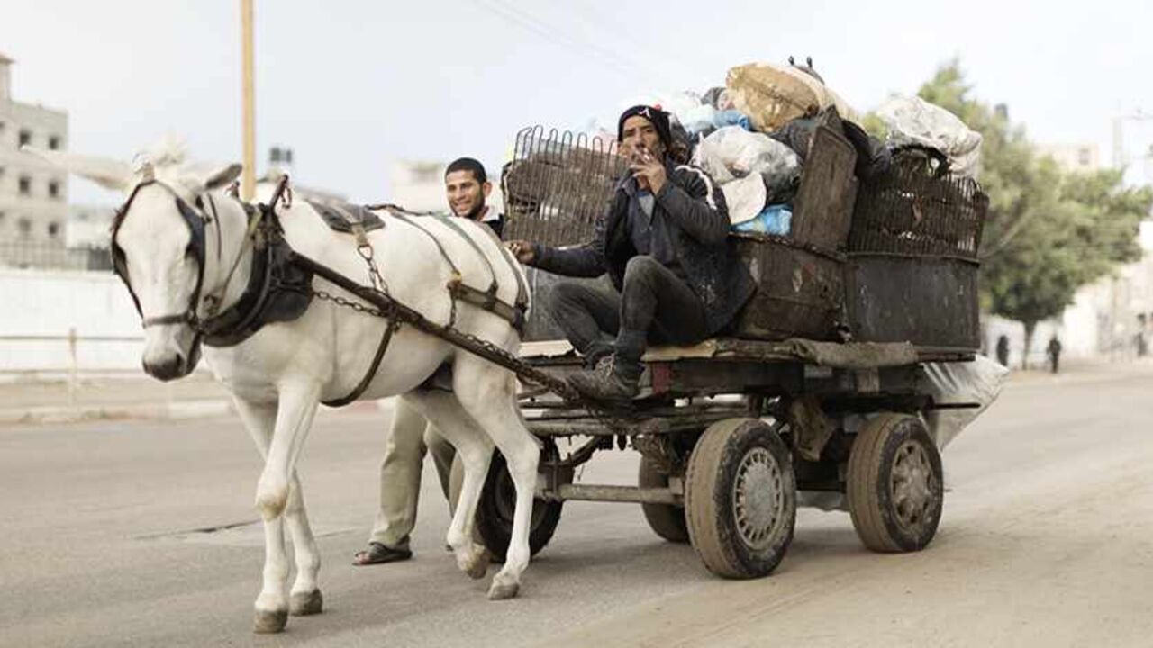 01 Animal Carts Al-Monitor.jpg