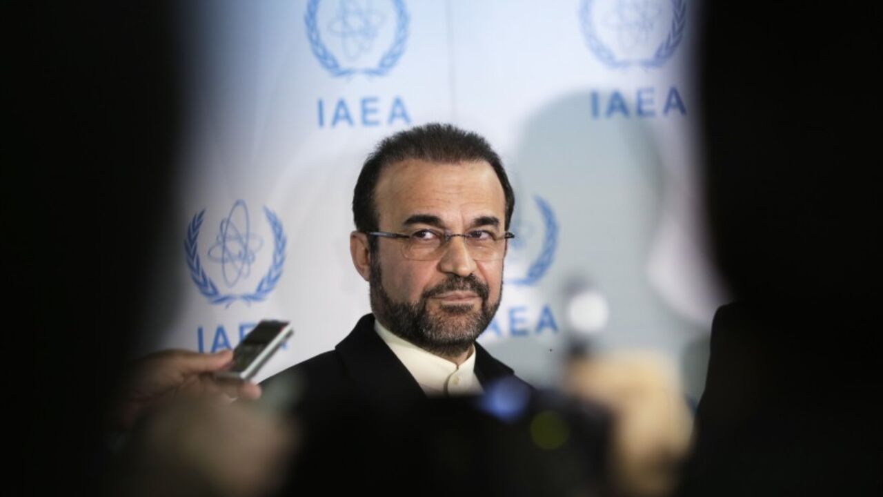 Iran's ambassador to the IAEA Najafi attends a news conference in Vienna Iran's ambassador to the International Atomic Energy Agency (IAEA) Reza Najafi attends a news conference at the headquarters of the IAEA in Vienna December 11, 2013. The U.N. nuclear agency and Iran aim to reach agreement next month on future steps to be taken by Tehran to help clarify concerns about its atomic activities, the two sides said after holding productive talks on Wednesday. REUTERS/Leonhard Foeger (AUSTRIA - Tags: POLITICS ENERGY) - RTX16DYV