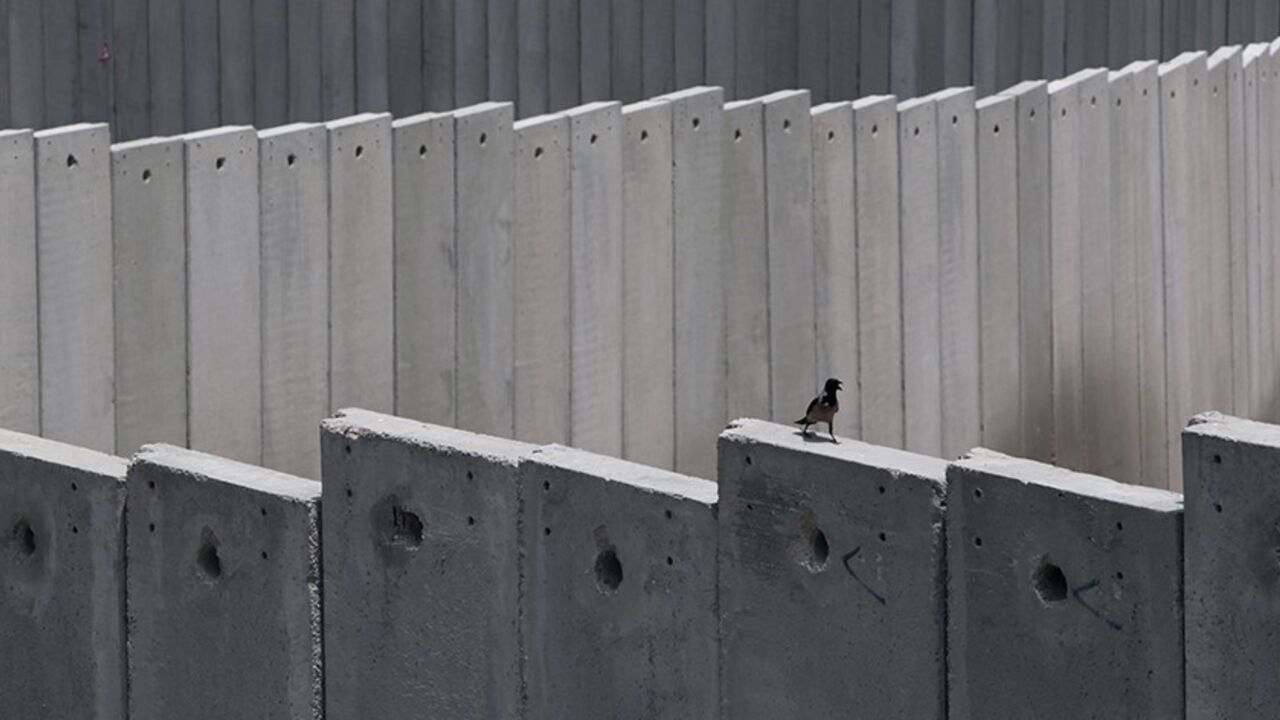 ISRAEL-PALESTINIANS-NETANAYHU/ A crow is seen on top of a section of the controversial Israeli barrier next to the Shuafat refugee camp in the West Bank near Jerusalem May 25, 2011. Palestinians and Israelis alike saw little prospect of a fresh start to Middle East peace talks on Wednesday after Israeli Prime Minister Benjamin Netanyahu's keynote speech to Congress. REUTERS/Baz Ratner (JERUSALEM - Tags: POLITICS) - RTR2MVSB