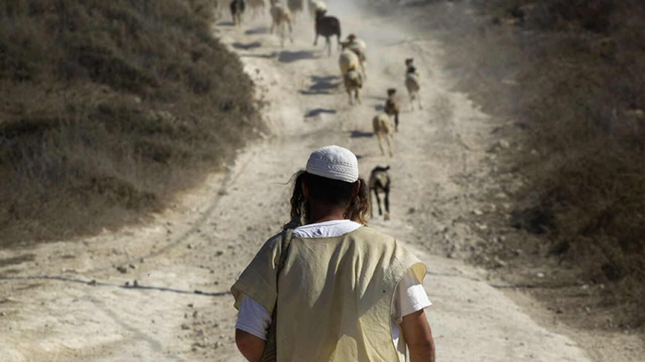 A Jewish settler herds sheep in the unauthorized outpost of Havat Gilad, south of the West Bank city of Nablus A Jewish settler herds sheep in the unauthorized outpost of Havat Gilad, south of the West Bank city of Nablus September 13, 2011. A diplomatic showdown looms at the United Nations this month when Palestinian President Mahmoud Abbas is expected to seek an upgrade of the Palestinians' U.N. status. The Palestinians hope to establish a state in the Gaza Strip and the Israeli-occupied West Bank , where Israeli Prime Minister Benjamin Netanyahu has refused to freeze Jewish settlement-building despite the Obama a