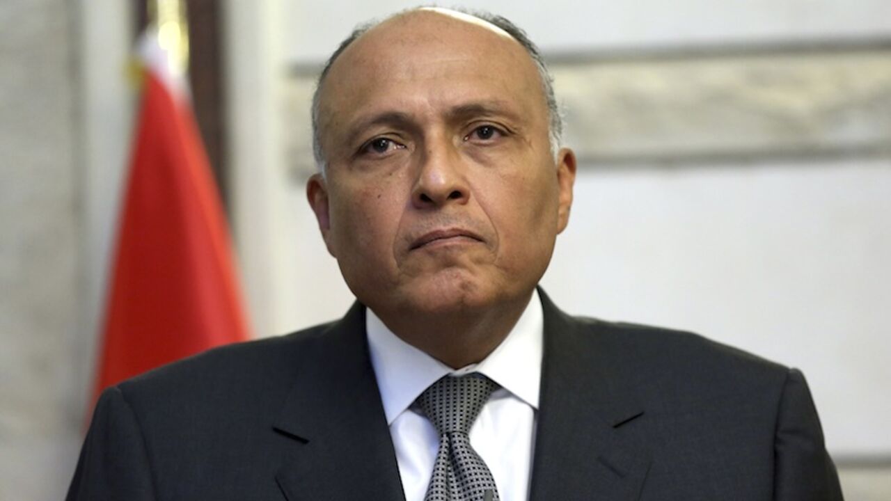 Egypt's Foreign Minister Sameh Shukri attends a joint news conference with Iraq's Deputy Prime Minister for Energy Hussain al-Shahristani in Baghdad Egypt's Foreign Minister Sameh Shukri attends a joint news conference with Iraq's Deputy Prime Minister for Energy Hussain al-Shahristani in Baghdad, July 11, 2014. REUTERS/Hadi Mizban/Pool (IRAQ - Tags: POLITICS HEADSHOT) - RTR3Y6LZ