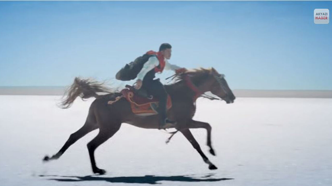 horseturkey.JPG