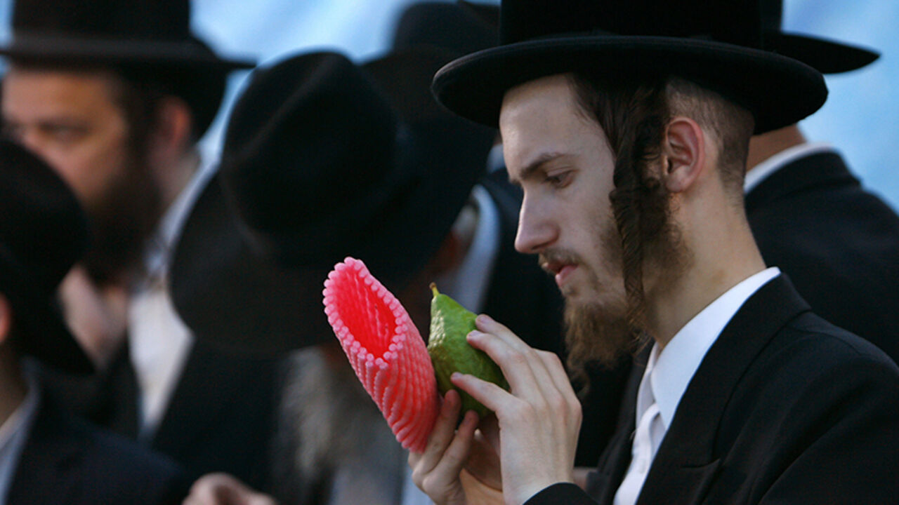 An Ultra-Orthodox Jew checks a citron for blemishes before buying it at the special market in Jerusalem An Ultra-Orthodox Jew checks a citron for blemishes before buying it at the special market in Jerusalem, September 24, 2007. The myrtle is used in rituals during the week-long Jewish holiday of Sukkot, which begins Wednesday at sundown. REUTERS/Ronen Zvulun (JERUSALEM) - RTR1U7LE