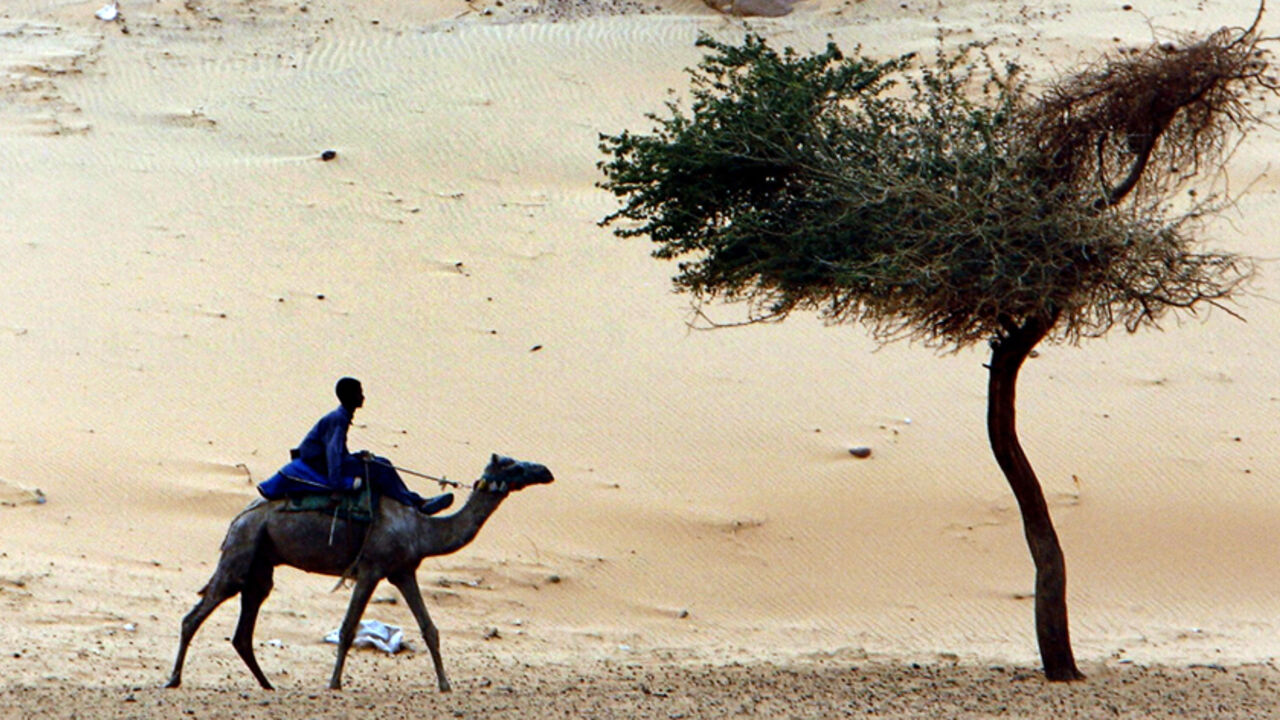 Nubian boy rides a camel at the Nile river bank in Aswan A Nubian boy rides a camel at the Nile river bank in Aswan, some 1200 km (746 miles) south of Cairo, March 25, 2007. REUTERS/Goran Tomasevic (EGYPT) - RTR1NWNI