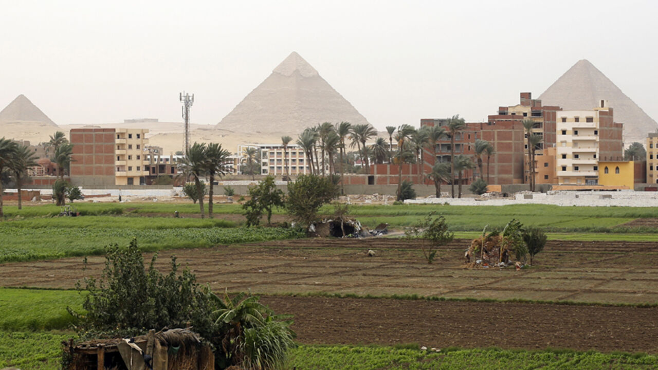 Farmers work at a rice field near the Great Giza pyramids on the outskirts of Cairo November 2, 2014. According to local media, black clouds rising over the Delta and Cairo have become a yearly event since 1997 which environmentalists and experts have blamed largely on the burning of leftover rice straw by farmers, an agricultural waste management problem which has yet to be solved for almost two decades.  The burning of rice straw has caused not only severe pollution, but brings with it several potential h