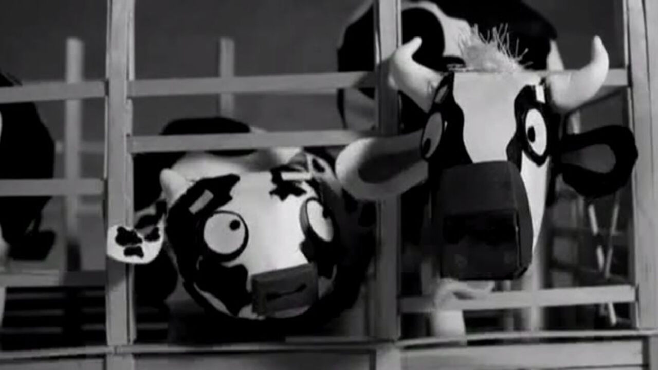 cows.JPG