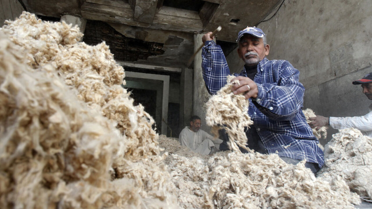 A cotton worker is pictured along a street in old Cairo A cotton worker is pictured along a street in old Cairo November 27, 2010. Egyptians wondering whether to vote in Sunday's parliamentary election must factor in the risk of brawls involving thugs hired by rival candidates. REUTERS/Amr Abdallah Dalsh (EGYPT - Tags: POLITICS ELECTIONS) - RTXV4R6