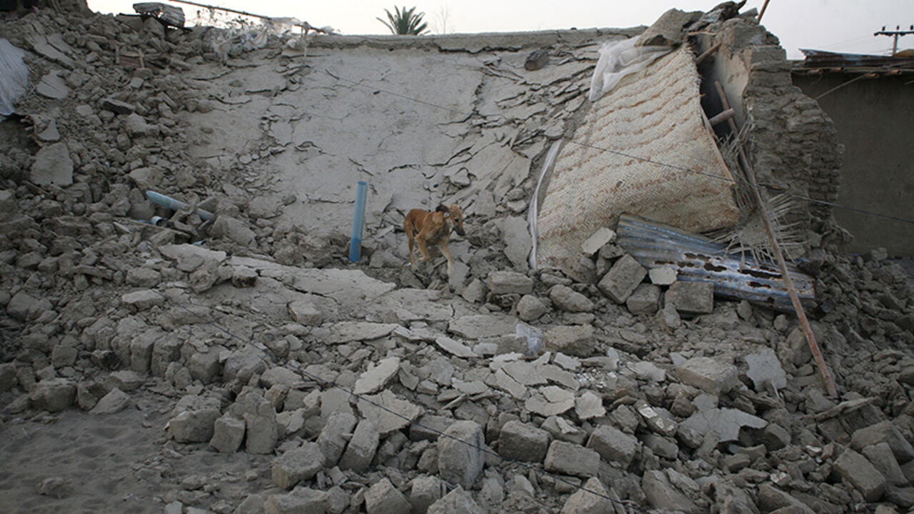 IRAN-QUAKE/ A dog is pictured on rubble of a mud house after it collapsed following the earthquake in the town of Mashkeel, southwestern Pakistani province of Baluchistan, near the Iranian border April 18, 2013. The powerful earthquake struck a border area of southeast Iran on Tuesday killing at least 35 people in neighbouring Pakistan, destroying hundreds of houses and shaking buildings as far away as India and Gulf Arab states. REUTERS/Naseer Ahmed (PAKISTAN - Tags: DISASTER) - RTXYQQ1