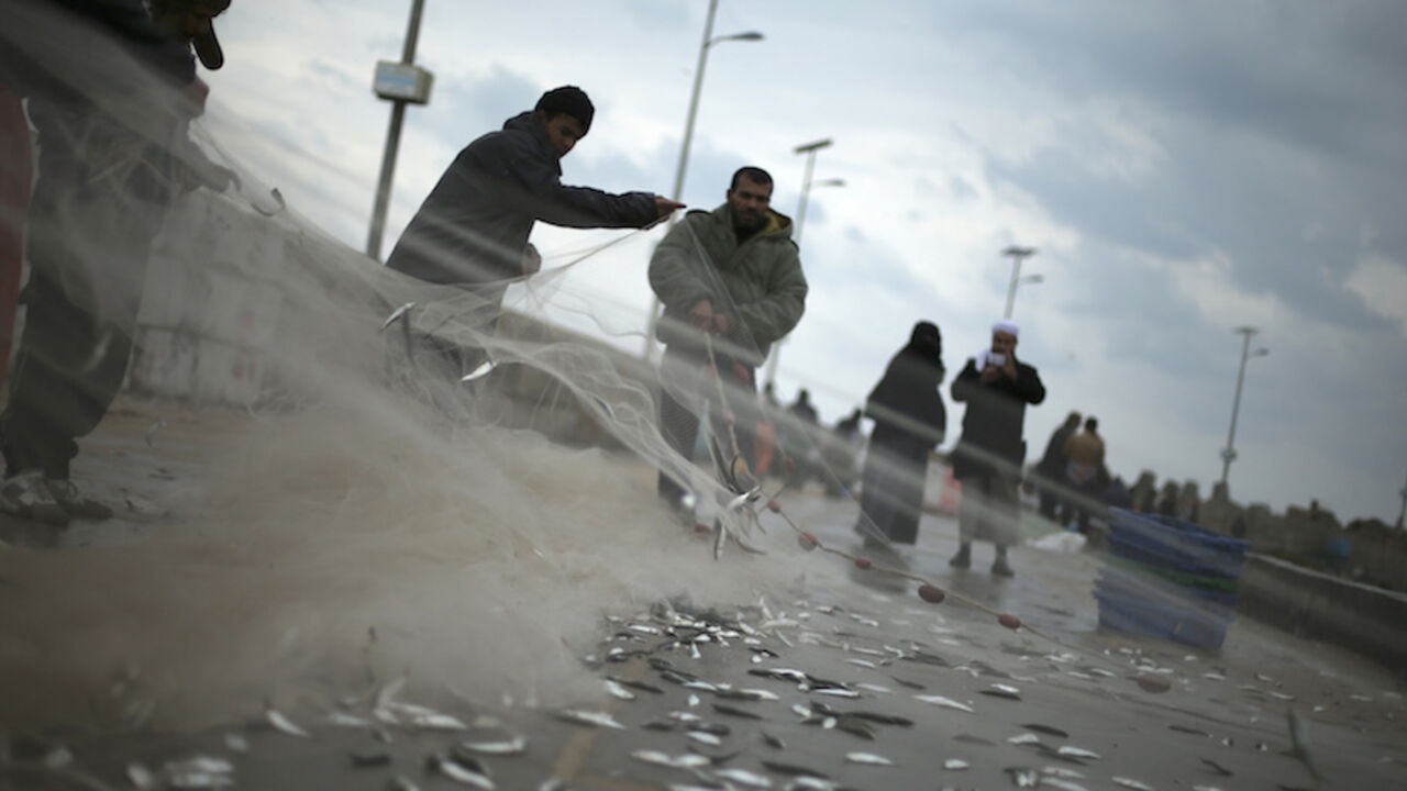 PALESTINE-DAILYLIFE/ Palestinian fishermen pull their net at the beach in Gaza City January 10, 2015. REUTERS/Mohammed Salem (GAZA - Tags: SOCIETY ENVIRONMENT ANIMALS) - RTR4KTRJ