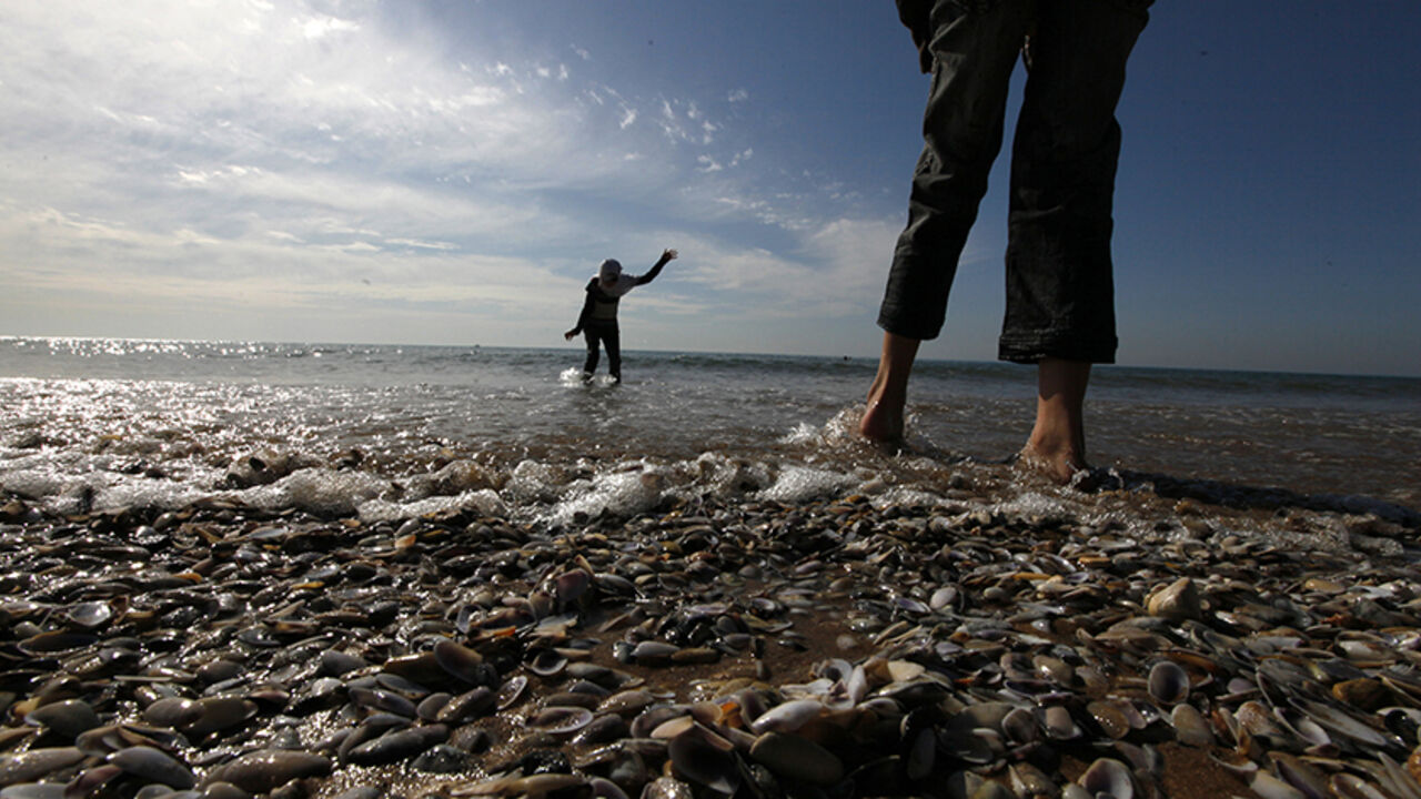 LEBANON Two girls play in the water at Ramlat al Bayda beach during a sunny day in Beirut February 12, 2012. REUTERS/Jamal Saidi (LEBANON - Tags: SOCIETY) - RTR2XPTA