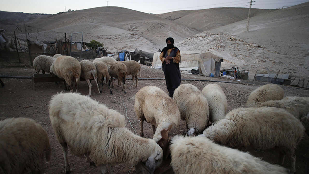 PALESTINIANS-ISRAEL/ A Palestinian Bedouin woman stands next to her sheep in the West Bank village of Al-Eizariya, near east of Jerusalem September 18. 2014. REUTERS/Ammar Awad (WEST BANK - Tags: POLITICS ANIMALS TPX IMAGES OF THE DAY) - RTR46STW