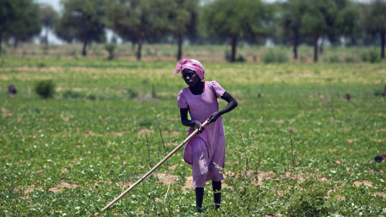 SUDAN/ A girl farms the land during the rainy season outside Gereida (South Darfur), July 25, 2012. According to UNAMID, women, children and the elderly living in camps, in the government forces controlled Gereida, usually farm surrounding lands while men work in further areas in order to avoid robberies, rapes and other perpetrations. UNAMID added that in May, the rebel movement occupied Gereida for 24 hours after a big clash that destroyed telecommunication facilities and several buildings. UNAMID has deployed a