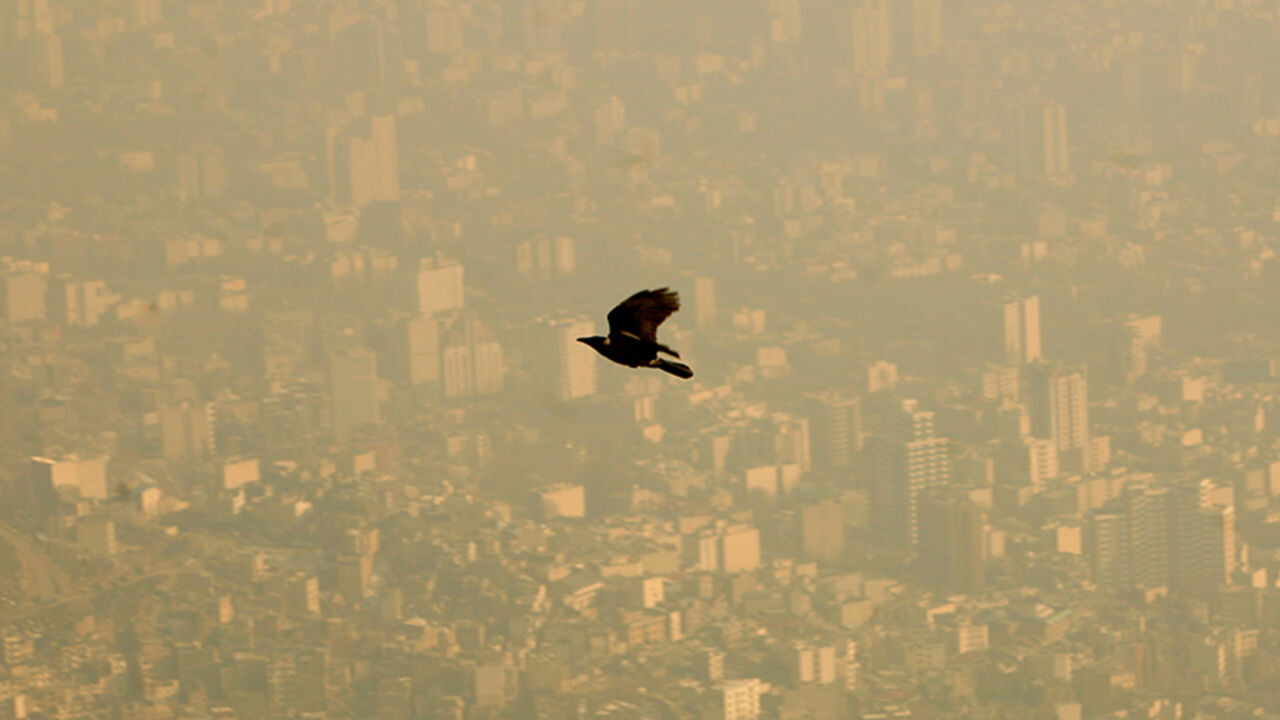 IRAN/ A bird flies through the polluted sky of Tehran January 25, 2007. REUTERS/Morteza Nikoubazl (IRAN) - RTR1LLY7