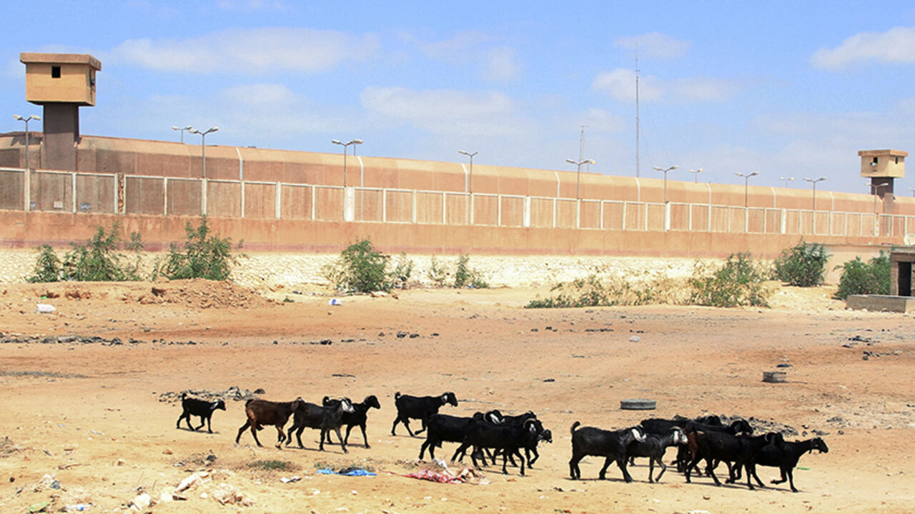 EGYPT-MURSI-TRIAL Goats roam outside the Borg al-Arab prison in Alexandria, 230 km (143 miles) north of Cairo, September 4, 2013. Ousted Egyptian leader Mohamed Mursi struck a defiant tone on the first day of his trial on Monday, chanting 'Down with military rule', and calling himself the country's only 'legitimate' president. Mursi, an Islamist who was toppled by the army in July after mass protests against him, appeared angry and interrupted the session repeatedly, prompting a judge eventually to adjourn the trial, which b