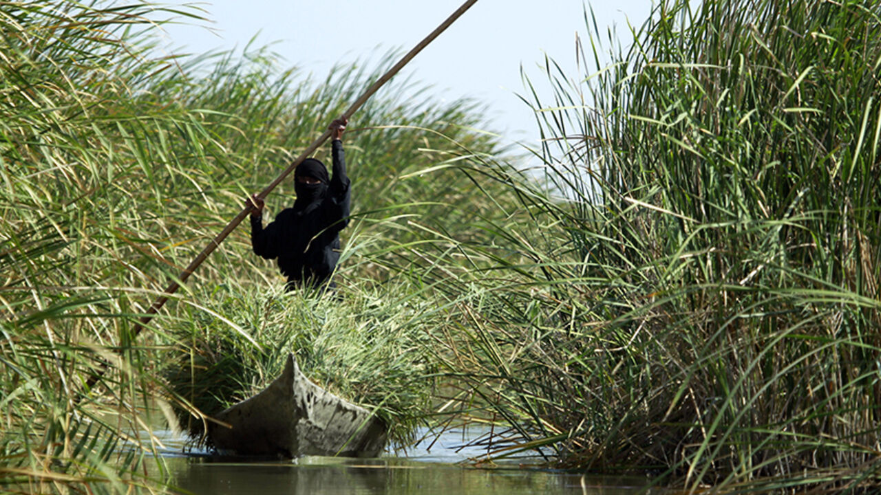 Nic6464044 An Iraqi woman collects grass with a canoe in the Chibayish marshes near the southern Iraqi city of Nasiriyah on June 25, 2015. Marsh areas in southern Iraq have been affected since the Islamic State group started closing the gates of a dam on the Euphrates River in the central city of Ramadi, which is under the jihadist group's control. AFP PHOTO / HAIDAR HAMDANI (Photo credit should read HAIDAR HAMDANI/AFP/Getty Images)