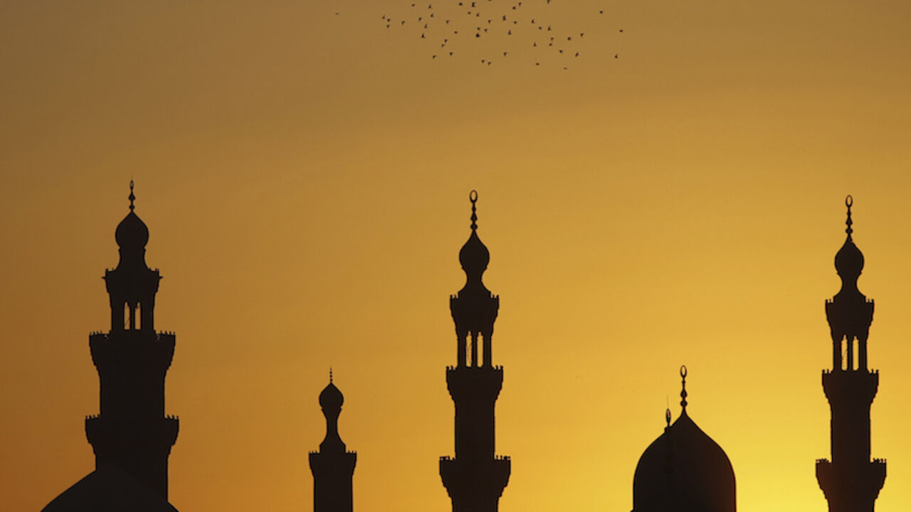 EGYPT POLITICS/ Birds fly over mosques during sunset in Old Cairo December 22, 2012. Early indications showed Egyptians approved an Islamist-drafted constitution after Saturday's final round of voting in a referendum despite opposition criticism of the measure as divisive. REUTERS/Amr Abdallah Dalsh (EGYPT - Tags: RELIGION ANIMALS SOCIETY POLITICS) - RTR3BUPB