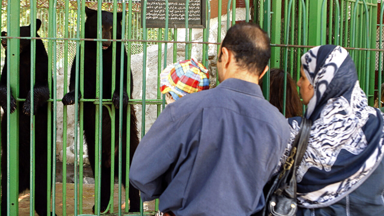 EGYPT-ZOO/ Visitors watch black bears at Egypt's Giza Zoo in Cairo August 6, 2008. Powerful fans blow chilled mist at the bears, a luxury normally reserved for wealthy human patrons at Egypt's upscale patio cafes. Soon, cold water will flow in pipes beneath the cages, chilling the floors as part of a series of reforms at the historical zoo. To match feature EGYPT-ZOO/ REUTERS/Nasser Nuri (EGYPT) - RTR20TQN