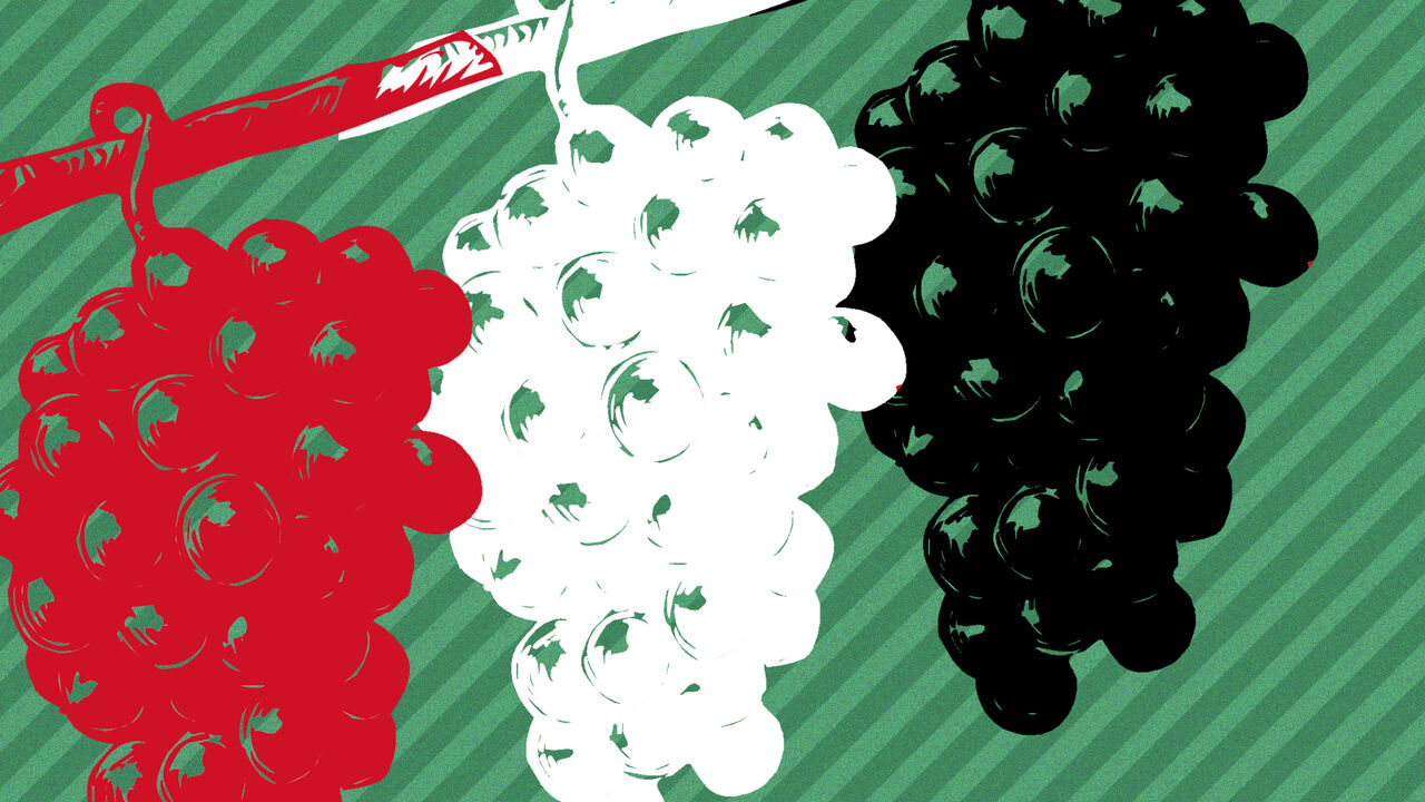 Palestine_grapes.jpg