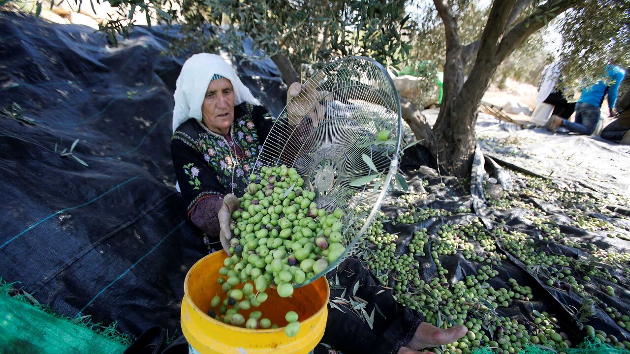 PALESTINIANS-AGRICULTURE/ RTX2Q7AL.jpg