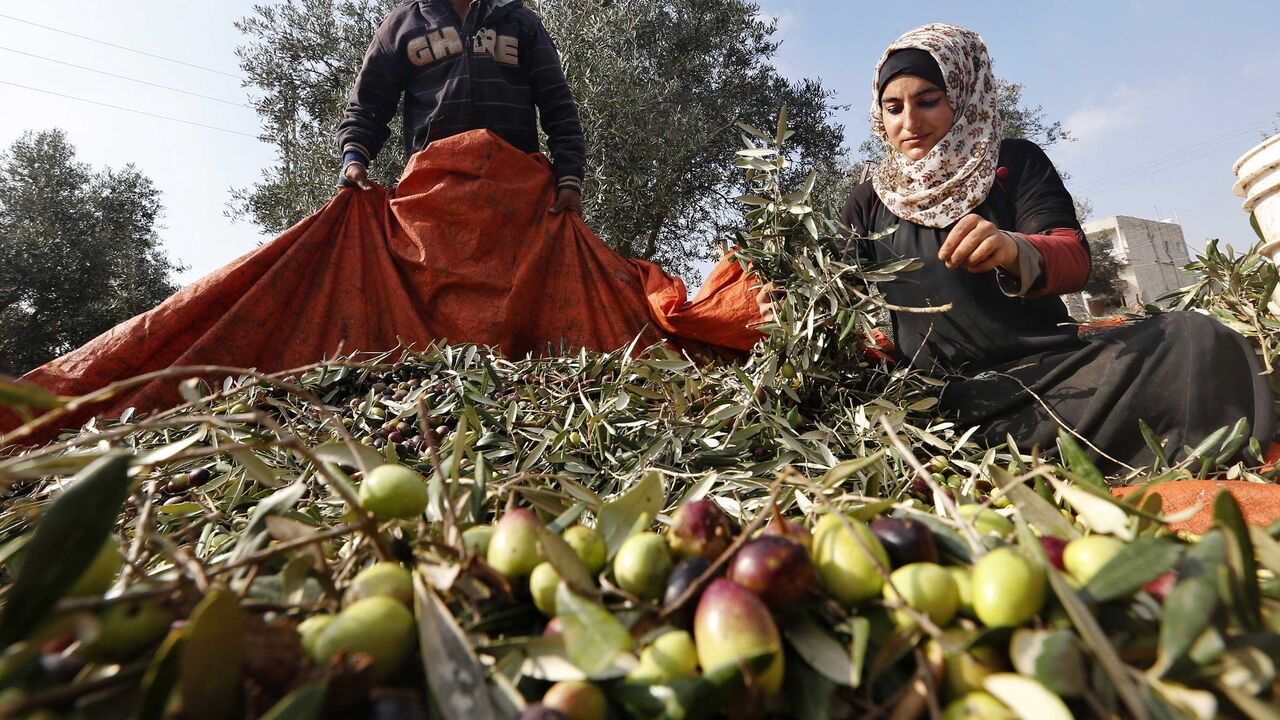 JORDAN-AGRICULTURE/ RTR4ENJQ.jpg