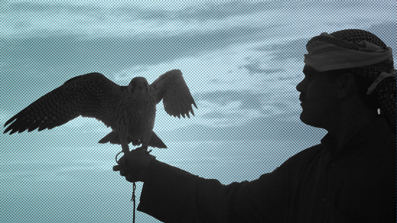 A falcon perches on a Bedouin hunter's arm during a hunt in a desert south of Samawa, 270 km (160 miles) south of Baghdad November 30, 2007. Picture taken November 30, 2007.    REUTERS/Mohammed Ameen     (IRAQ) - GM1DWSRKRDAA