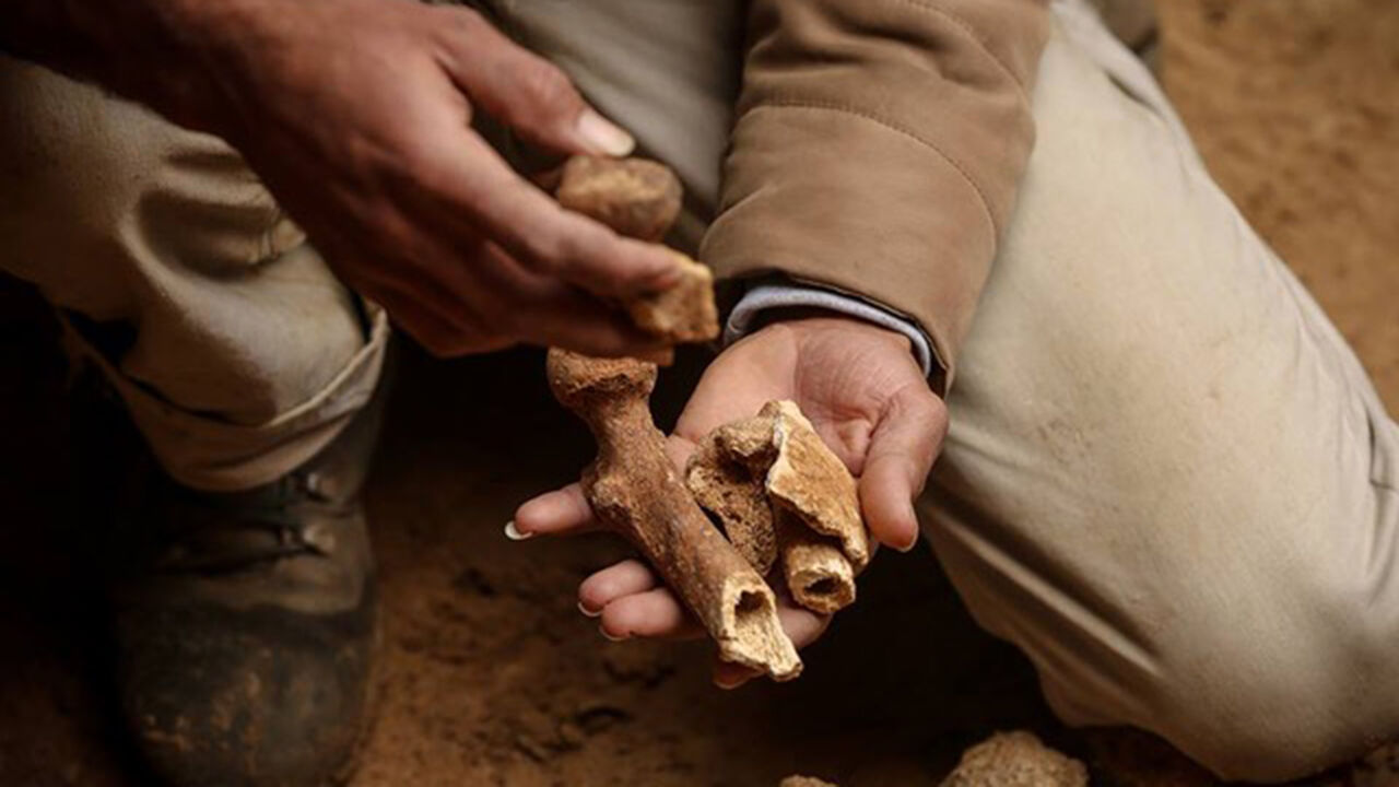Gaza_bones.jpg