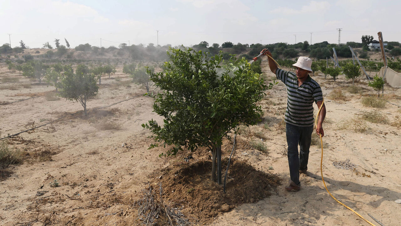 ISRAEL-GAZA/DISENGAGEMENT RTX1NSIX.jpg