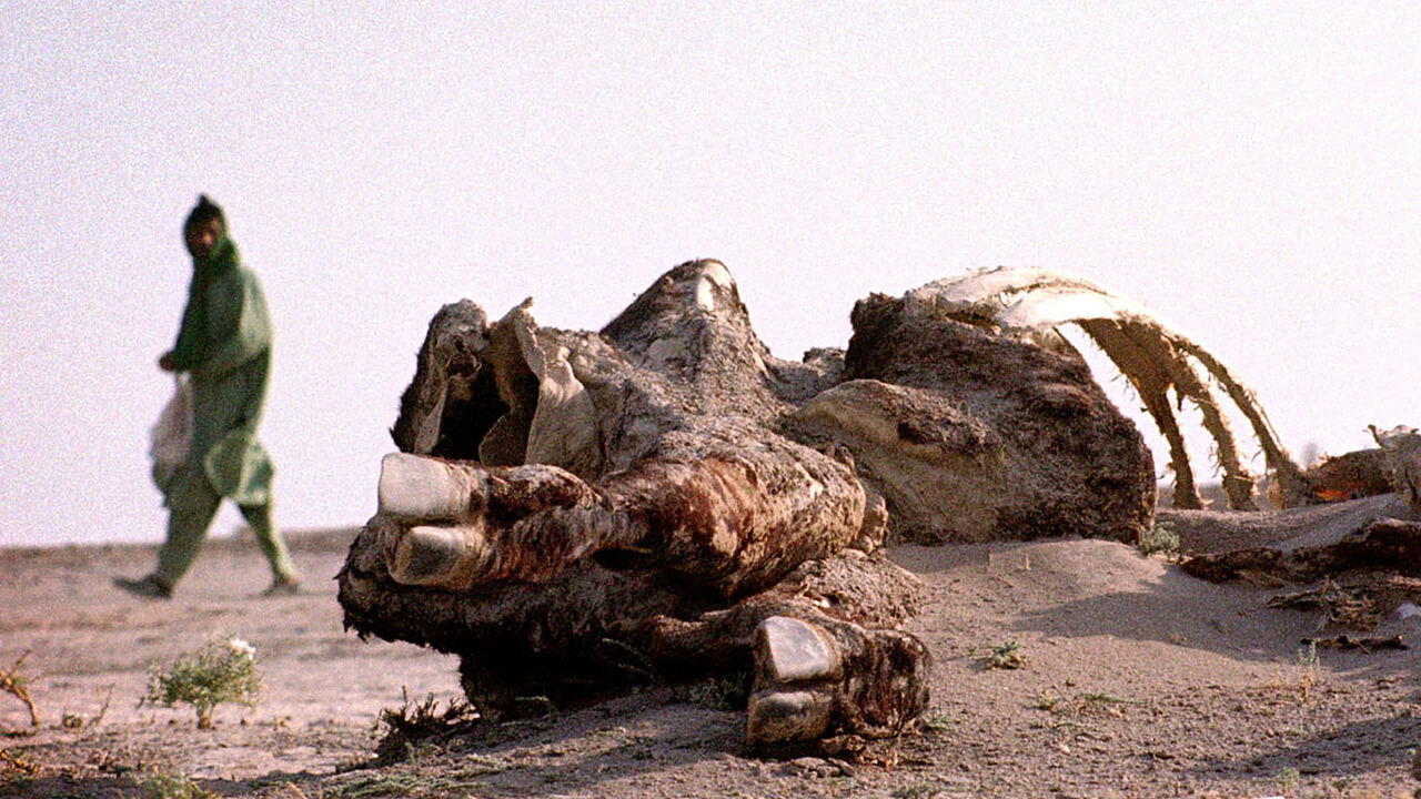 IRAN A man walks past the partially sand covered carcass of a cow in the dried up bed of the Hamoon lake outside Zabol, Iran July 17, 2001 which has dried up after 3 consecutive years of drought in southeastern Iran. The local government in Iran's Sistan-Baluchistan province has started a massive job-creating campaign to keep drought-stricken farmers from migrating to the cities. - PBEAHUKZGCL
