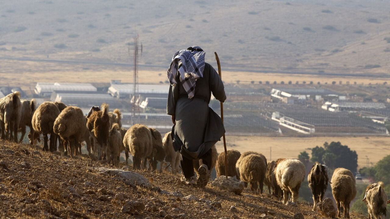 PALESTINIANS-ISRAEL/ A Palestinian from the herding community of Al Hadidya in the Jordan valley herds livestock near the Jewish settlement of Roi September 12, 2011.
REUTERS/Darren Whiteside (WEST BANK - Tags: SOCIETY ANIMALS) - GM1E79D06M901