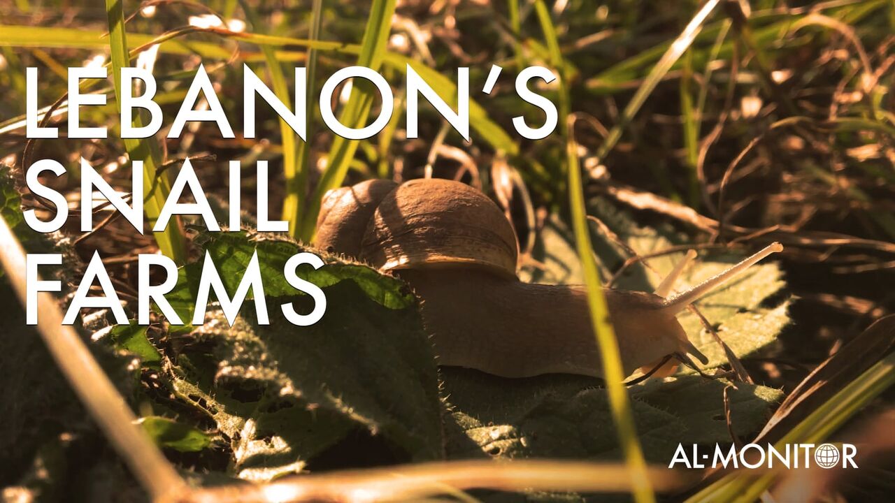 lebanon-snail-farms.jpg