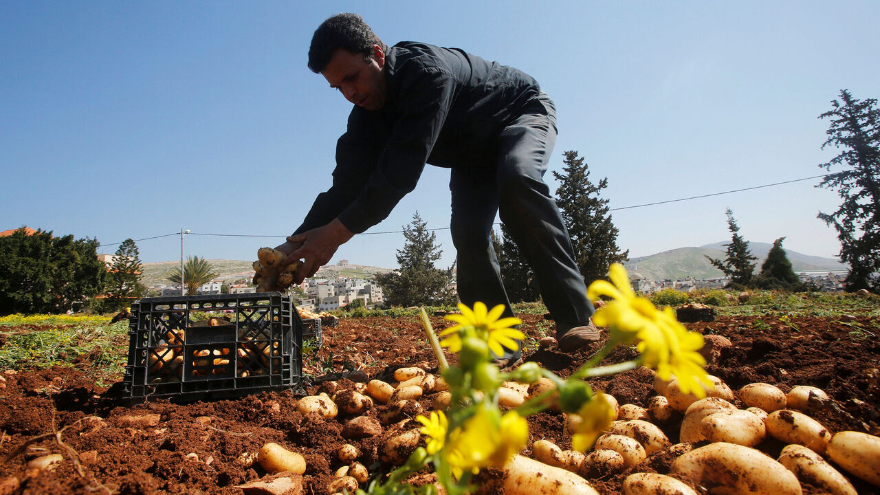 PALESTINIANS-AGRICULTURE/ RTS11MM6.jpg