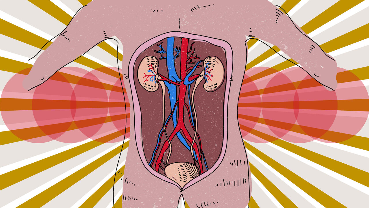 Organs_Egypt.jpg