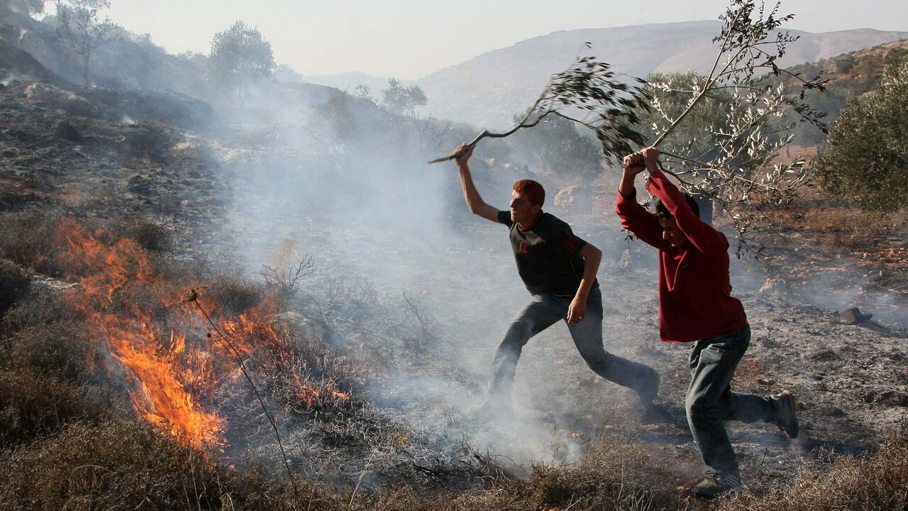 Nic508520 Palestinians extinguish fire at an olive tree grove that was allegedly set ablaze by Jewish settlers in the northern West Bank village of Salem, east of Nablus, on November 14, 2010. AFP PHOTOJAAFAR ASHTIYEH (Photo credit should read JAAFAR ASHTIYEH/AFP/Getty Images)